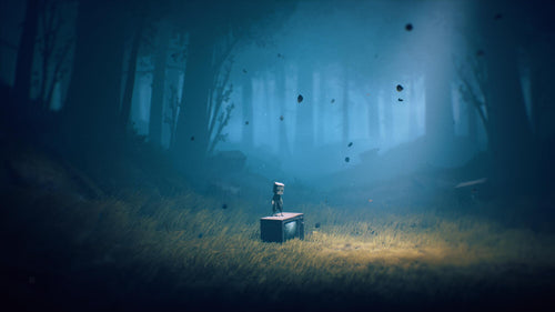 Little Nightmares II (2)