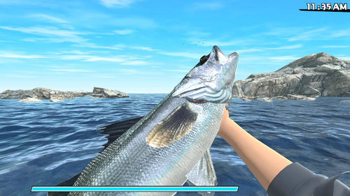 Reel Fishing: Road Trip Adventure (Import) Natsume