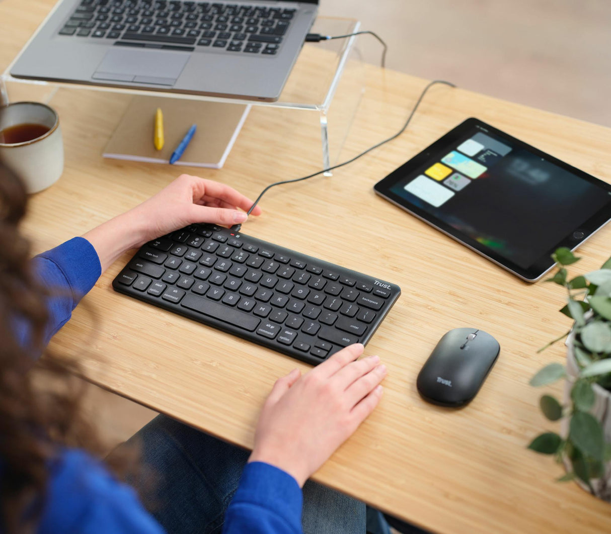 LITTA PÅ LYRA WL TANGENTBORD & MUS