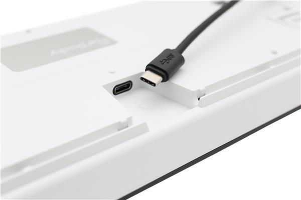 Ducky One 2 Bakgrundsbelyst, Cherry MX Blue