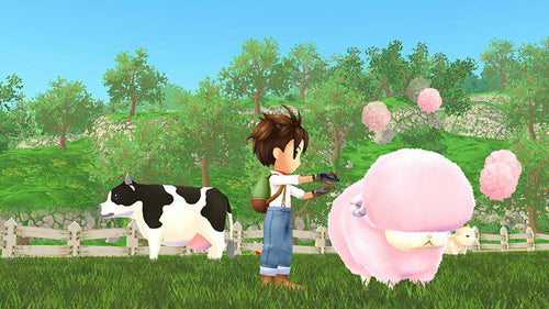 Story of Seasons: A Wonderful Life – Xbox Series X – spilgrafik
