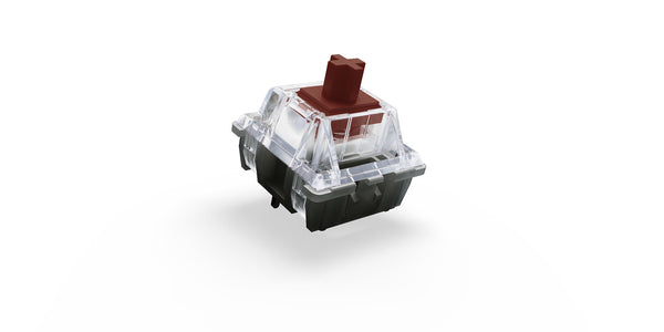 Xtrfy Switch, Cherry MX, Taktil - Brun, RGB-version