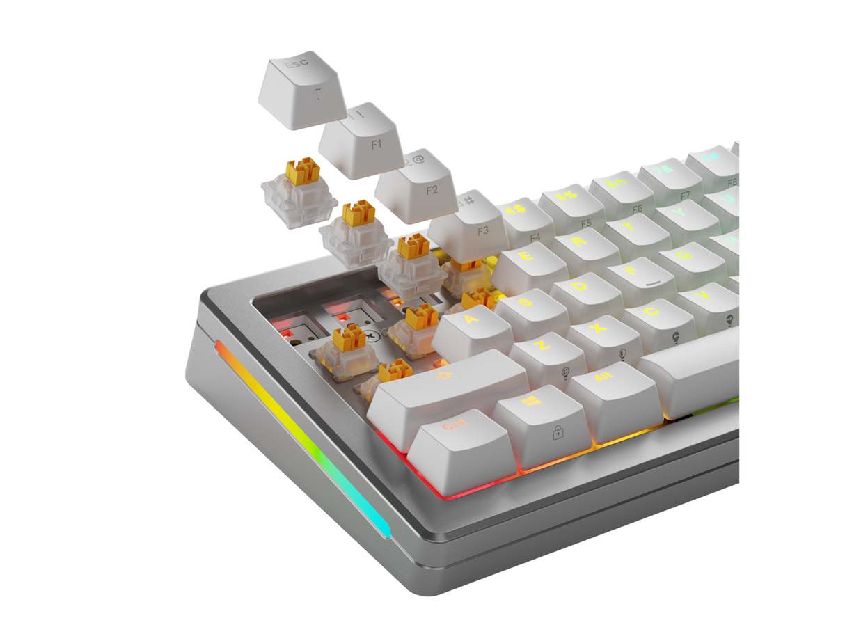 Glorious HE Switchar (36st) - Panda