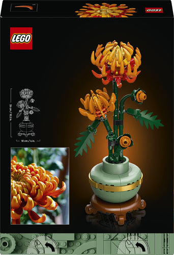 LEGO Botanicals 10368 – Krysantemum – æskens bagside