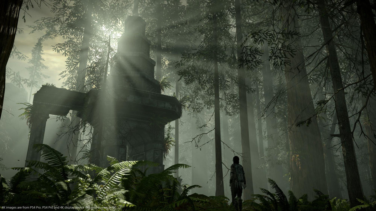 Shadow of the Colossus – PS4 – produktdetalje 5