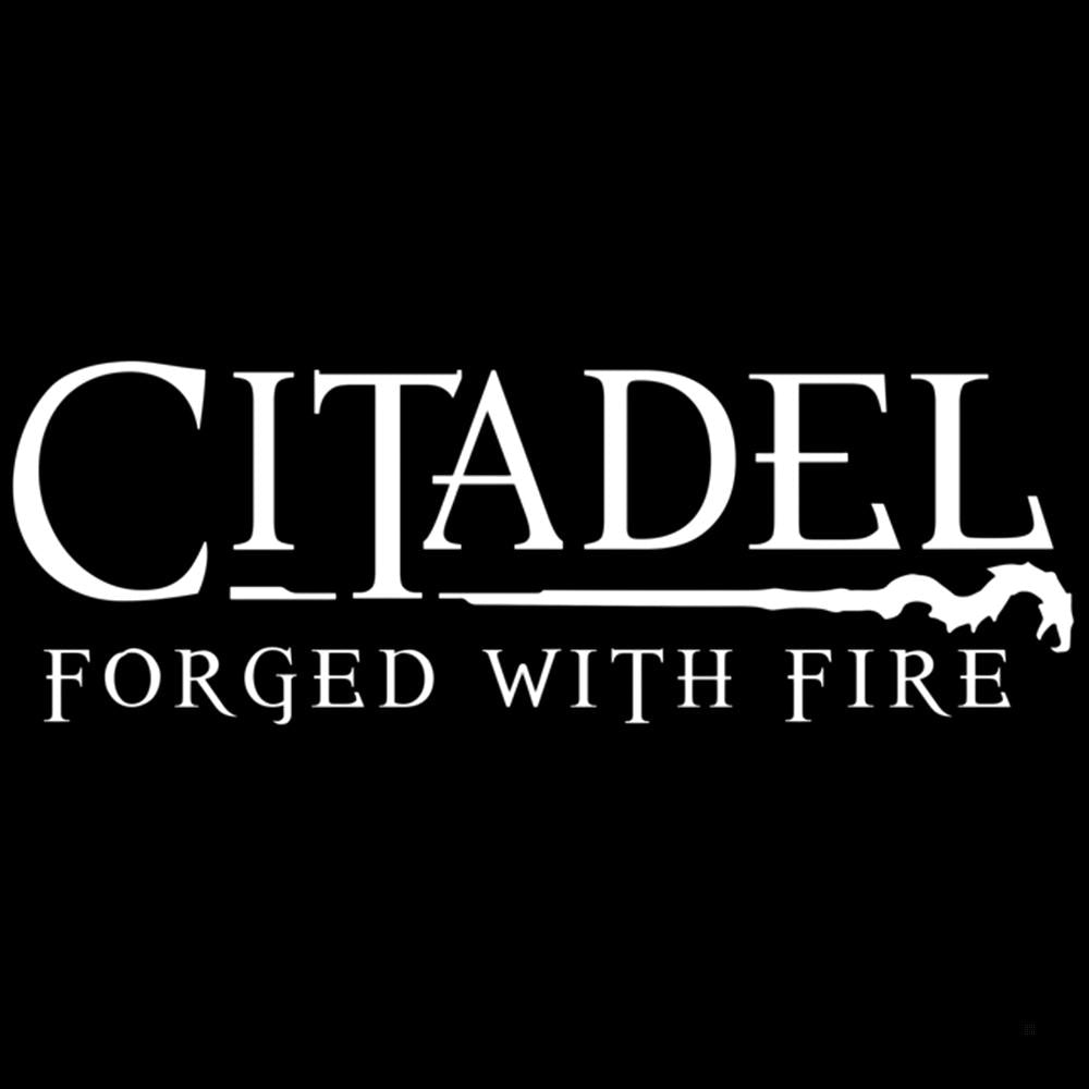 Citadel: Forged With Fire