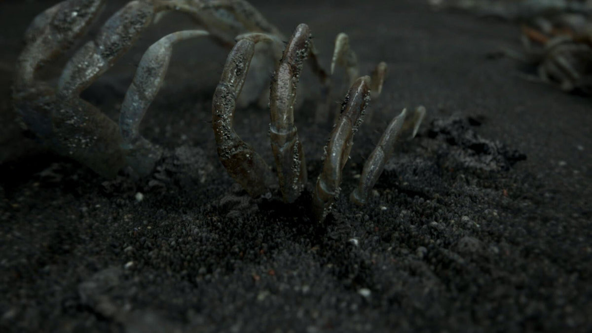 Death Stranding (Nordic) – PS4 – produktdetalje 9