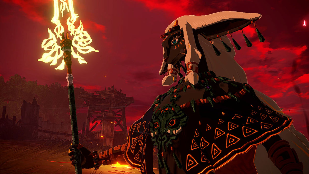 Hyrule Warriors: Age of Imprisonment – Nintendo Switch 2 Nintendo