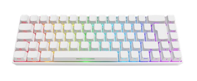WK95R Wireless 65% Keyboard Laserade Keys Framtill RGB Nordic
