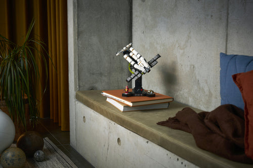 LEGO - Icons - Project Hail Mary (11389)