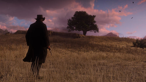Red Dead Redemption 2 Rockstar