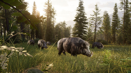 Way of the Hunter 2 – Xbox Series X – motiv fra spillet 7