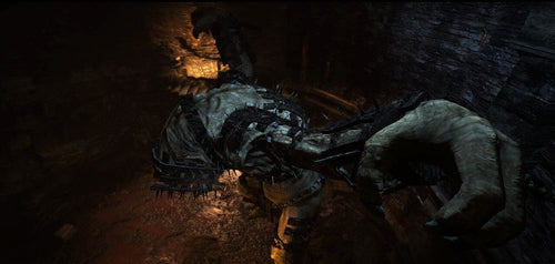 Dragon's Dogma: Dark Arisen – spilbillede 15