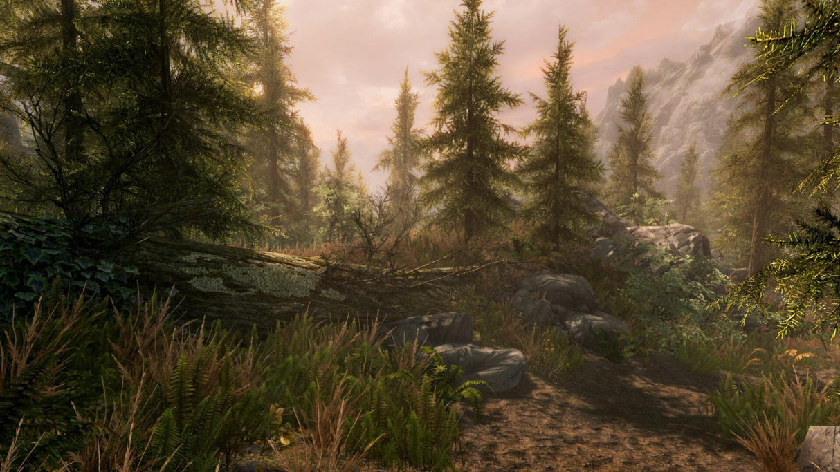 The Elder Scrolls V: Skyrim (UK4)