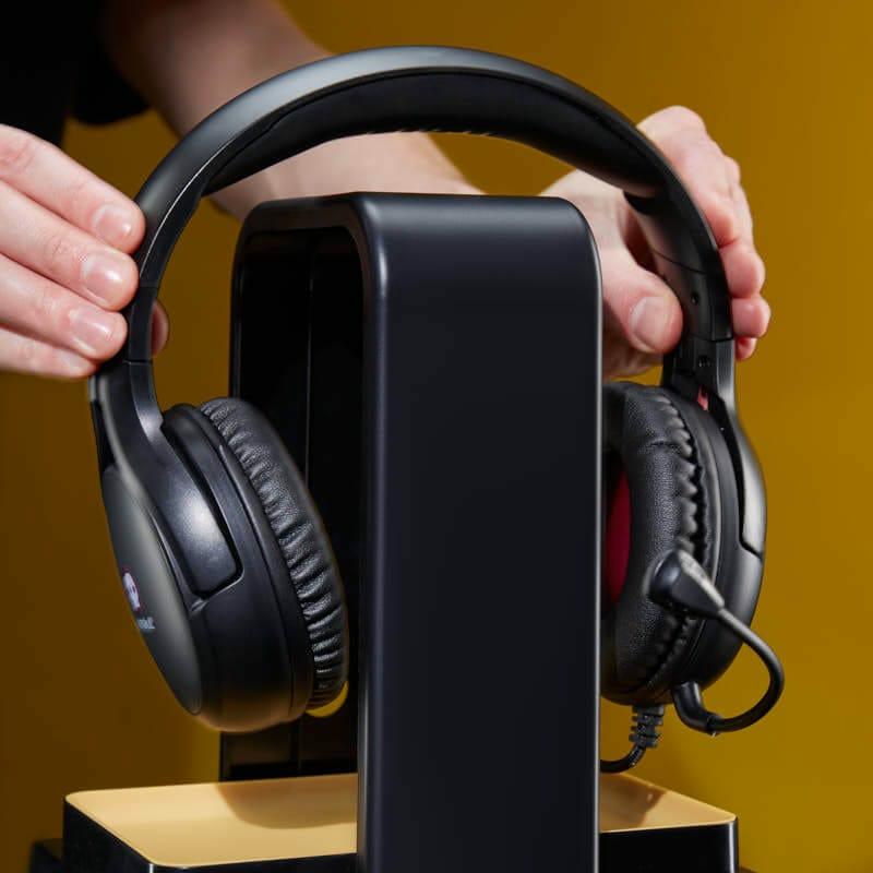 Numskull Officiella Hogwarts Legacy Light Locker