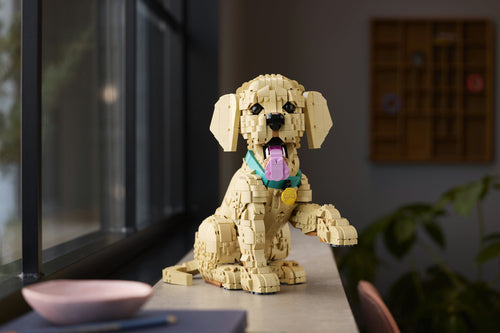 LEGO 11384 Icons - Szczeniak golden retriever Lego
