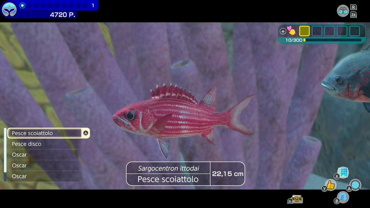 Endless Ocean Luminous (UKV)