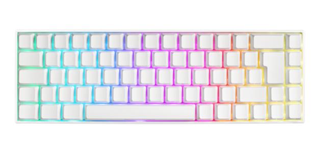 WK95R Wireless 65% Keyboard Laserade Keys Framtill RGB Nordic