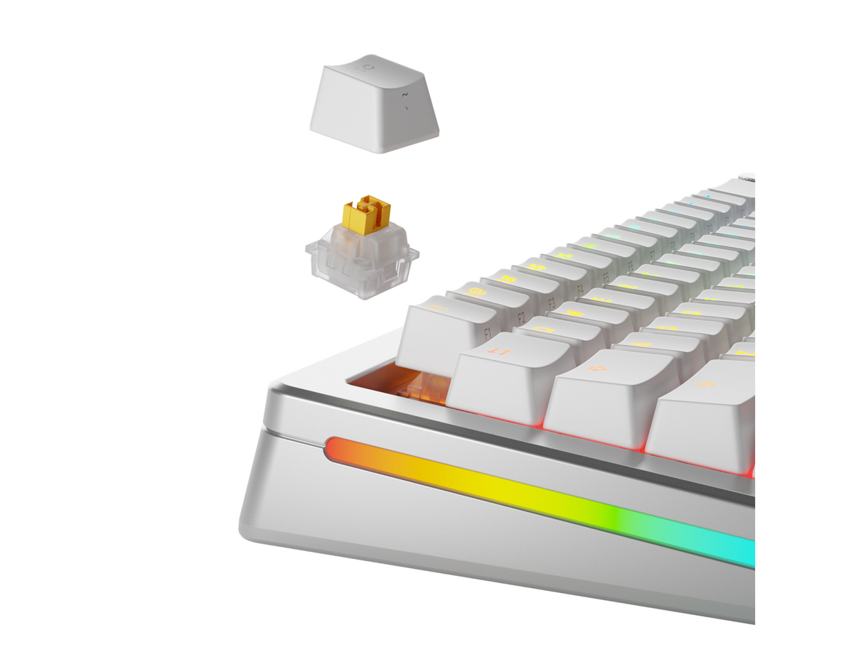 Glorious HE Switchar (36st) - Panda