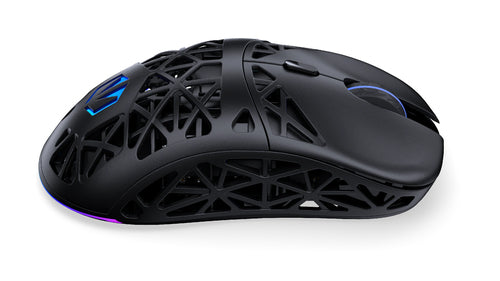 ENDORFY LIV Plus Wireless black