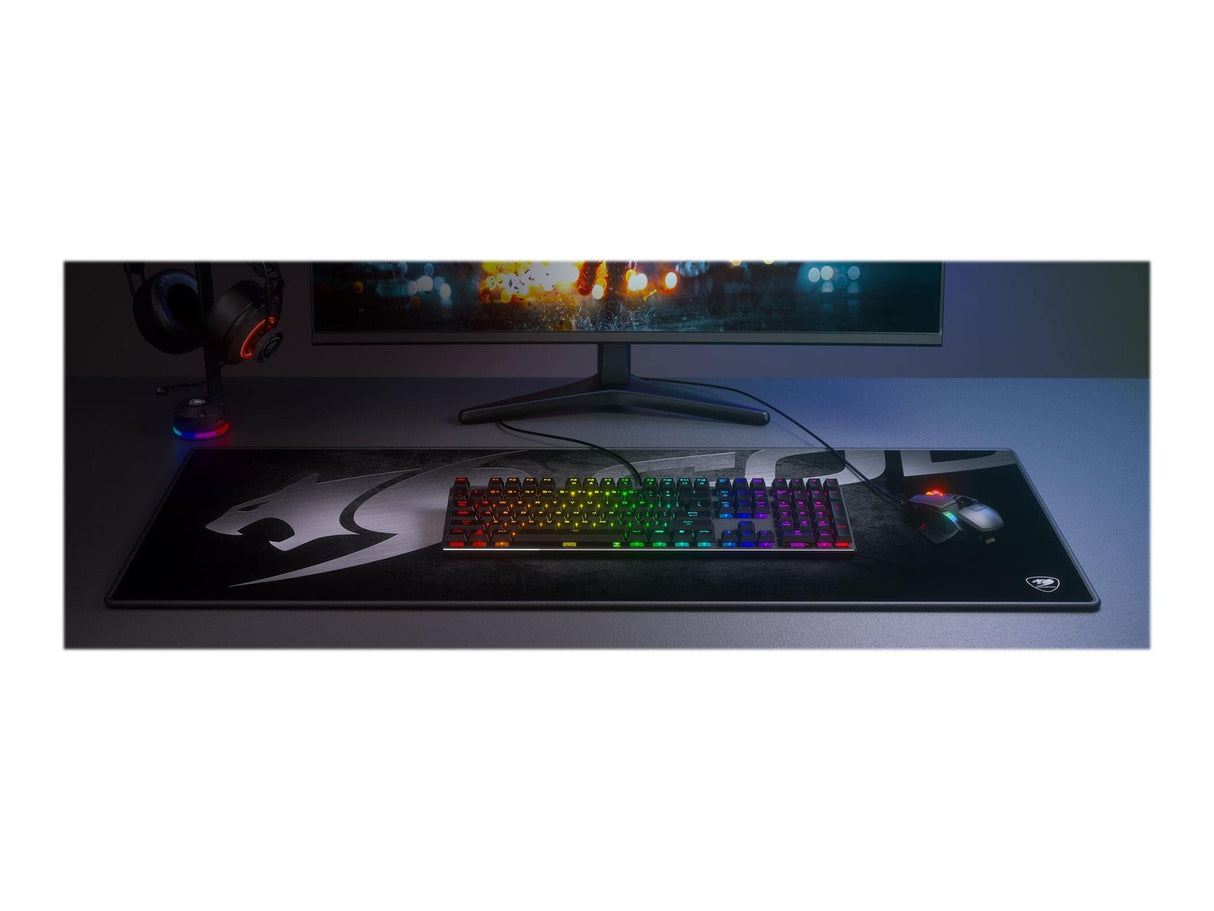 Cougar Arena X Stor Musmatta