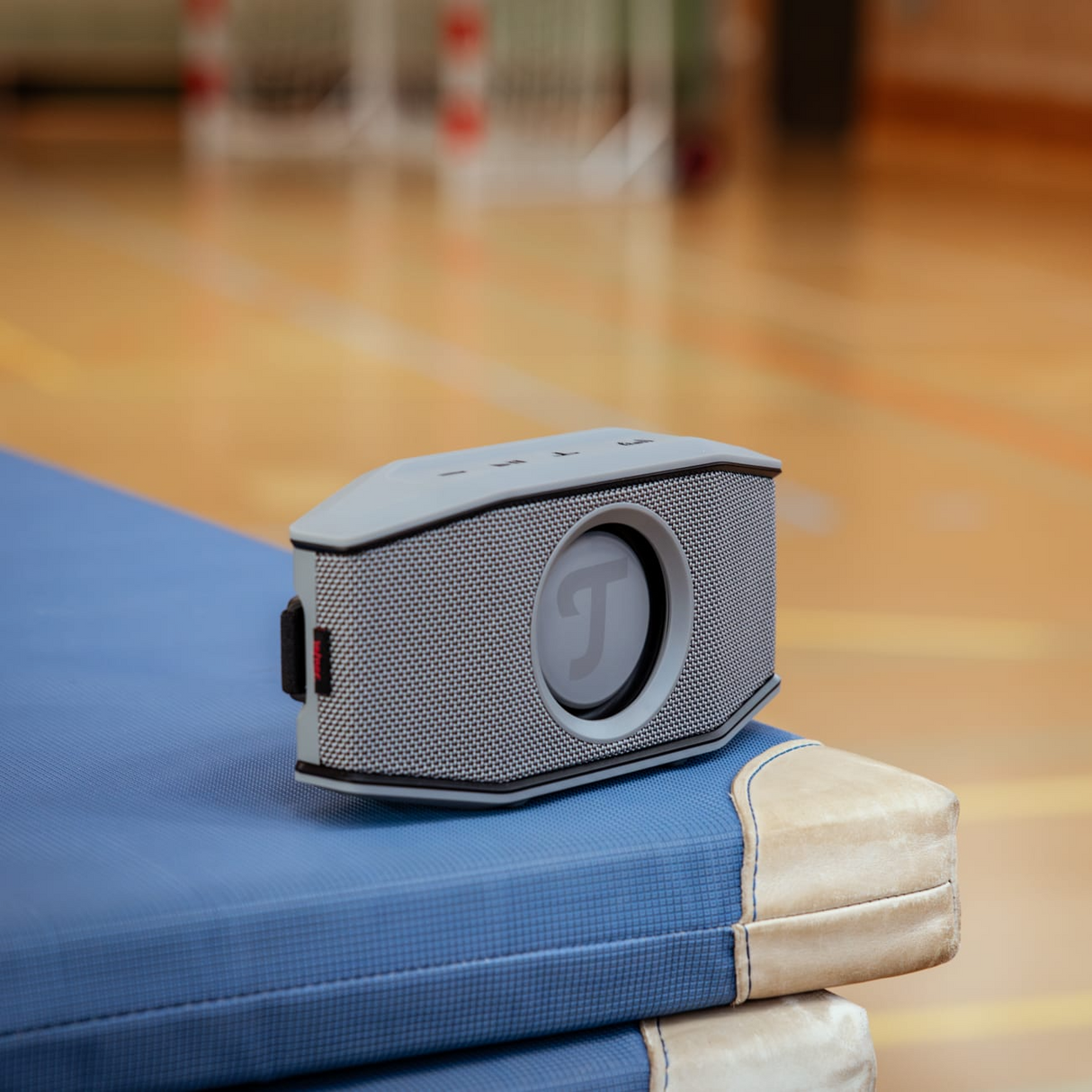 Teufel ROCKSTER GO 2 Bluetooth-högtalare trådlös grå svart