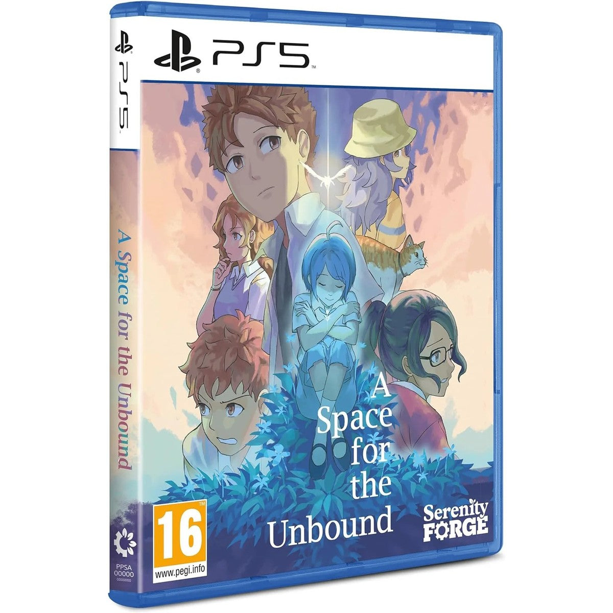 A Space for the Unbound – PlayStation 5 – spilomslag