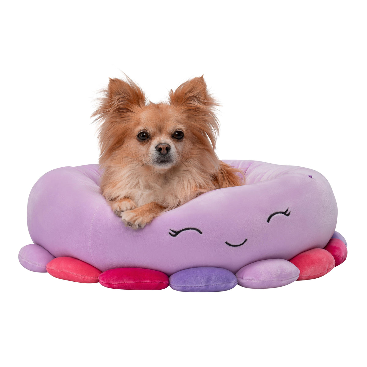 Squishmallows - Pet Bed - Octopus 50 cm (JPT0085-S) Squishmallows