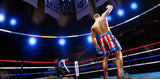 Creed: Rise to Glory (VR) – PlayStation 4 – skærmbillede fra spillet