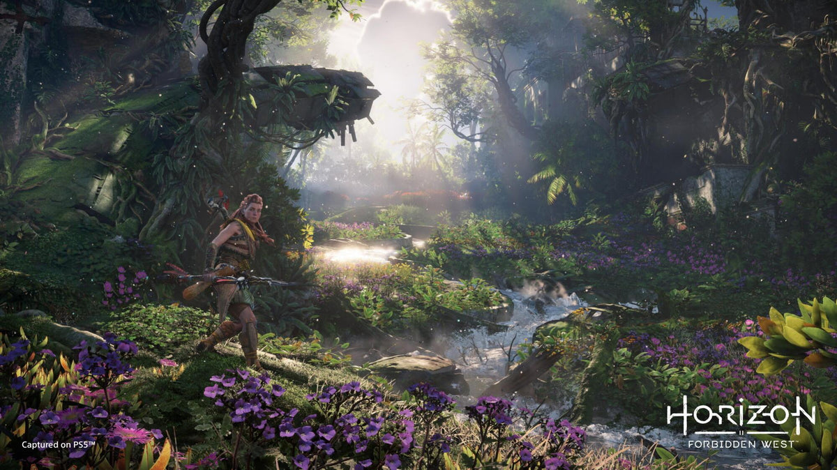 Horizon Forbidden West Sony