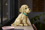 LEGO 11384 Icons - Szczeniak golden retriever Lego