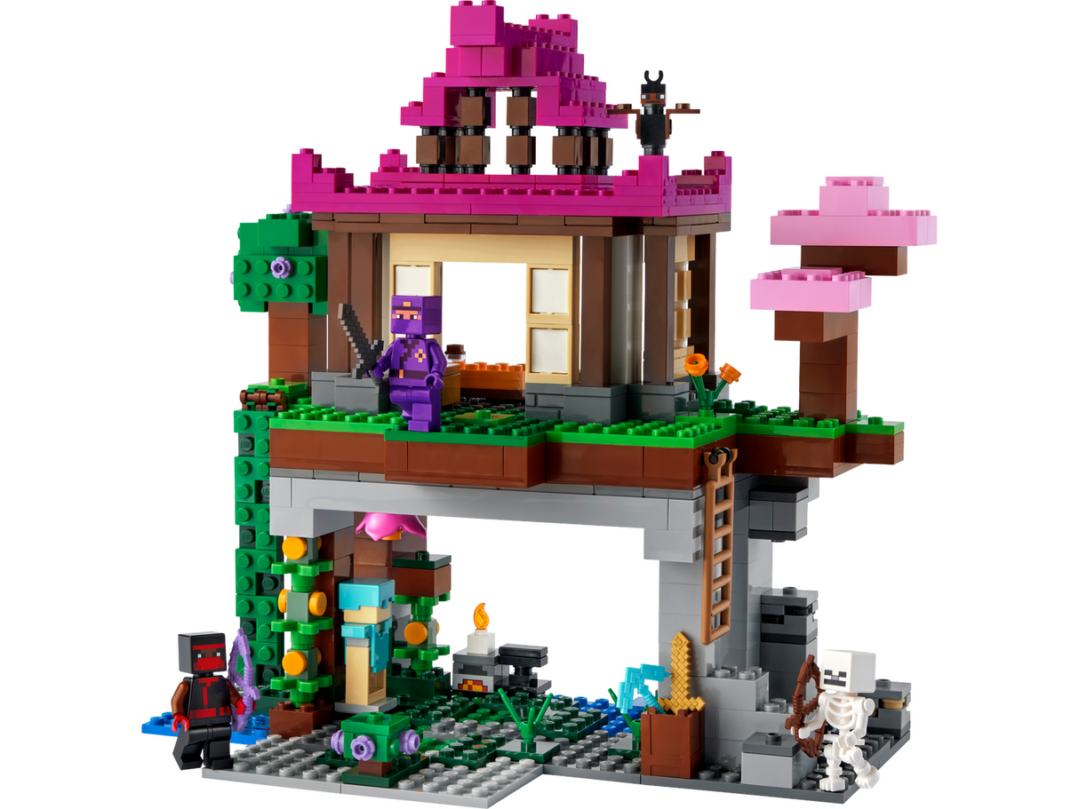 LEGO Minecraft - Träningsområde (21183)
