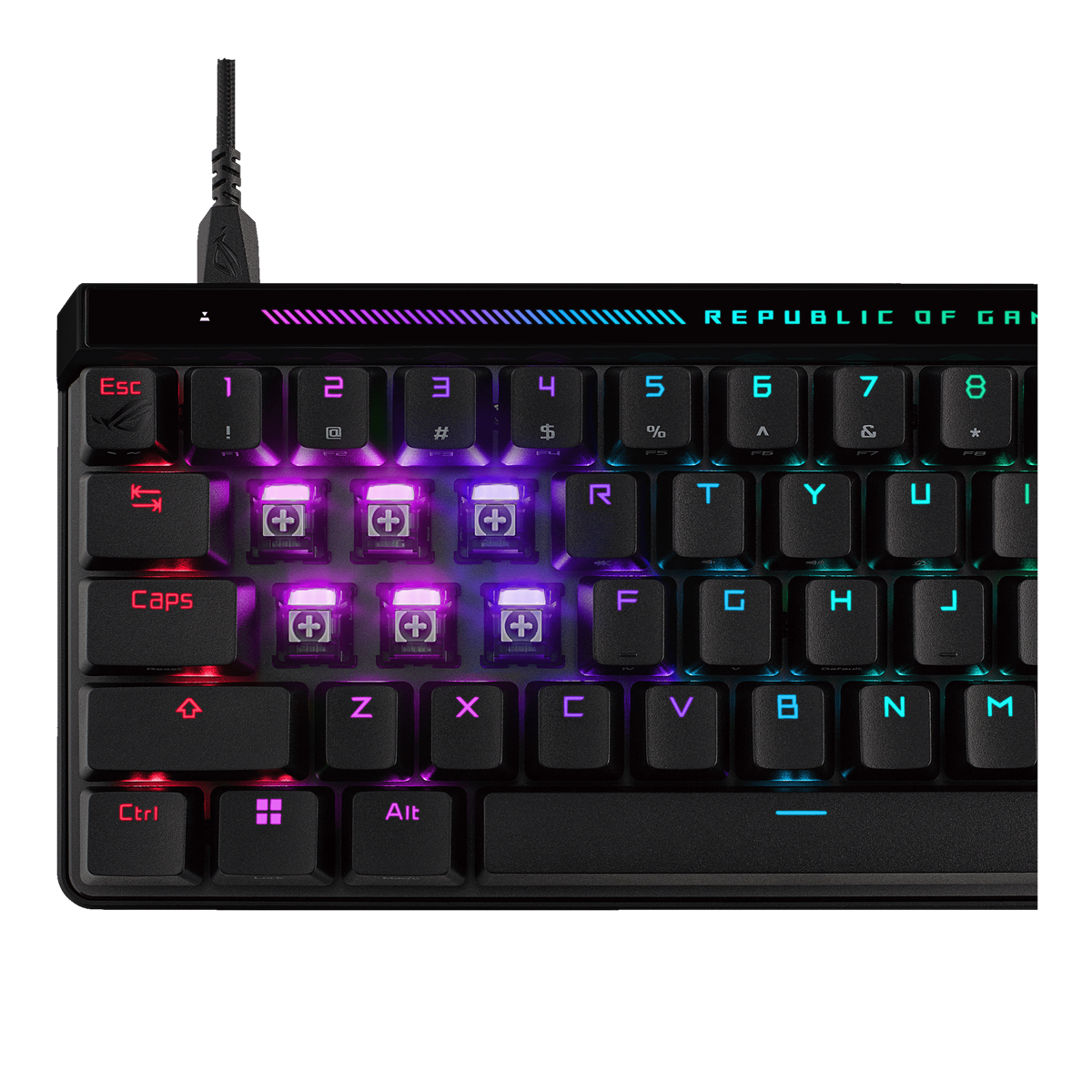 ASUS ROG FALCHION ACE HFX (M605) 65% Analog Gaming Keyboard with ROG HFX Magnetic Switches ASUS