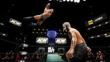 AEW: Fight Forever THQ