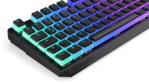 ENDORFY Thock TKL Wireless Pudding (schwarz. DE-Layout. Kailh Box Brown)