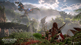 Horizon Forbidden West (UK/AR) Sony