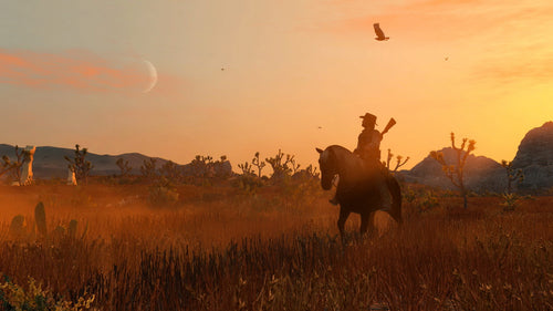 Red Dead Redemption (Import)