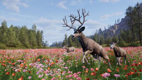 Way of the Hunter 2 – Xbox Series X – motiv fra spillet 4