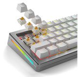 Glorious Mechanical Switches (36st) - Panda Silent - [Tactile] 50g