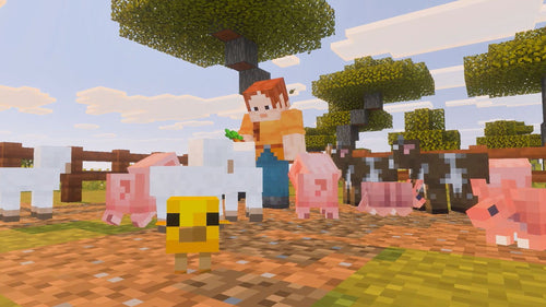 Minecraft -Nintendo Switch 2 Edition