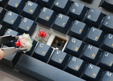 Ducky One 3 Pro - Nazca Line - Mini 60% - Silver Speed  - RGB