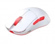 Lamzu Atlantis Mini Champions Edition - 8K, Omron Optical - Red