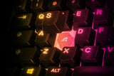Steelseries - Apex 3 TKL Gaming Keyboard