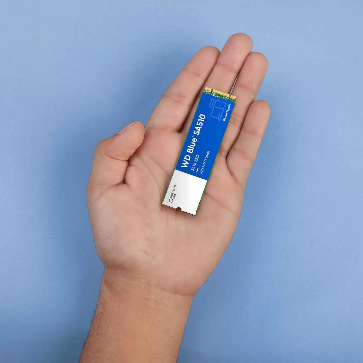 SanDisk WD Blue SA510 SSD WDS100T3B0B 1TB M.2 Serial ATA-600