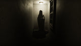 MADiSON (PSVR2) Koch Media