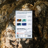 Sea of Stars nintendo switch