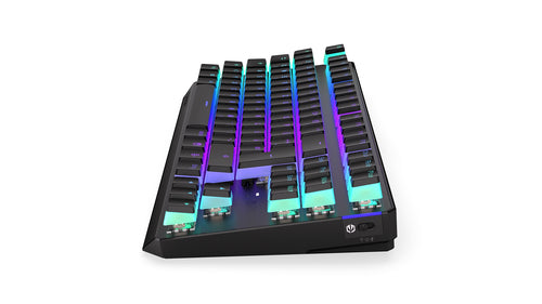 ENDORFY Thock TKL Wireless Pudding (schwarz. DE-Layout. Kailh Box Red) Endorfy