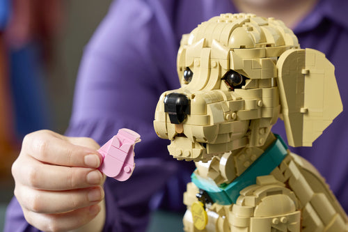 LEGO 11384 Icons - Szczeniak golden retriever Lego