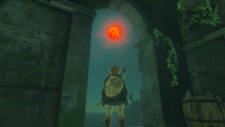 The Legend of Zelda: Tears of the Kingdom (Collector's Edition) – Nintendo Switch – skærmbillede 5
