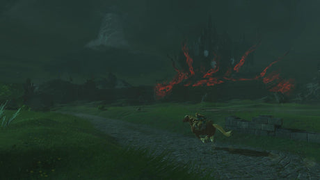 The Legend of Zelda: Tears of the Kingdom Nintendo